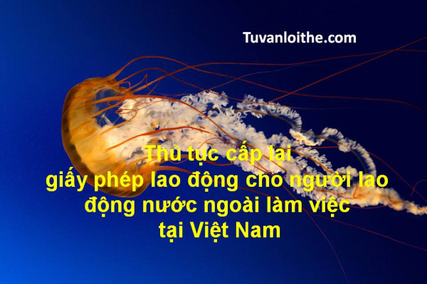 Thủ tục cấp lại giấy phép lao động cho người lao động nước ngoài làm việc tại Việt Nam
