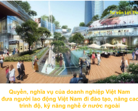 Quyền, nghĩa vụ của doanh nghiệp Việt Nam đưa người lao động Việt Nam đi đào tạo, nâng cao trình độ, kỹ năng nghề ở nước ngoài