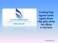 Những trường hợp người nước ngoài được cấp giấy phép lao động theo quy định của pháp luật Việt Nam