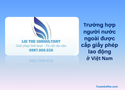 Những trường hợp người nước ngoài được cấp giấy phép lao động theo quy định của pháp luật Việt Nam