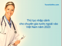 Thủ tục nhập cảnh cho chuyên gia nước ngoài vào Việt Nam năm 2023