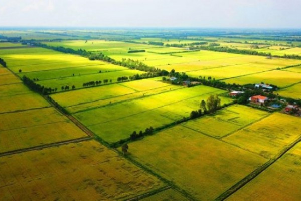 Phân biệt đất nông nghiệp, đất lâm nghiệp và đất khu dân cư